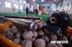 초등학교 실내 야구연습장에 마련된 투표소