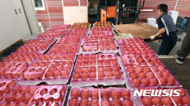 시장농산계량소 | '다른 지역 생산 계란까지 수거라니...'