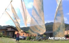 푸른솔농원단율천연염색 | 푸른 하늘 처럼 물들이는 천연염색