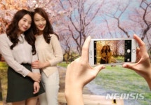 현대가든파이브쉐르치 | '현대시티몰 가든파이브에서 벚꽃 즐겨요'