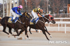 실버울프 넘어설 새로운 여왕 탄생할까?