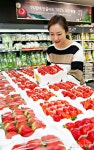 홈플러스익스프레스상갈점일반 | '신선한 식품은 홈플러스 익스프레스에서!'