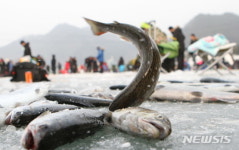 화천산천어축제 '물고기 놀이터'