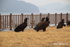 한려해상생태탐방원 웰푸드스토리점 | 통영 한려해상생태탐방원, 겨울철새와 함께하는 생태관광 참가자 모집