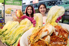 돌아온 김장철, 절임 배추 사가세요