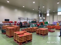 바야흐로 '진안고원 부사 사과'의 계절, 본격 출하