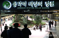 종각역 지하보도에 마련된 '태양의 정원'