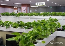 그린오피스(왜관점) | 서울시, 공기정화 '그린힐링오피스' 5곳 시범 운영
