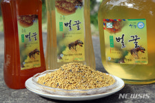 지리산가뫼골벌꿀 | 지리산 자락 산청서 몸에 좋은 햇 벌꿀 수확 한창
