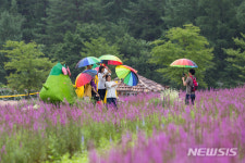 국립백두대간수목원, 야생화 위탁재배로 지역상생 이끈다