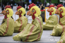 '공장식 축산 반대한다'