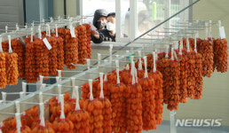 함양옥션경매장 | 함양고종시 곶감, 비대면 경매