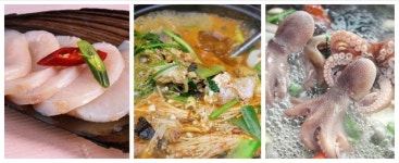 "주꾸미·도다리·키조개가 부른다"…보령 식도락 여행