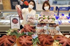 '국산 문어 드세요'