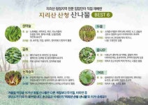 유구담배잎가게농산물판매 | "9일 창원 지리산 산나물 할인판매전, 오이소~"