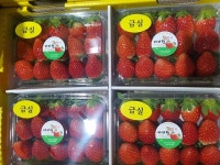금실이네농원 | 밀양 딸기, 정부 '농촌융복합산업지구 조성' 공모 선정