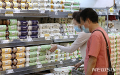 야시대 팜 계란 직판장 | '만만치 않은 가격' 계란 선택에 신중