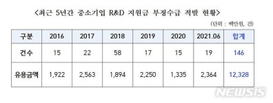 중소기업 R&D 지원금 123억 '눈먼 돈'…연구원 뒷주머니로