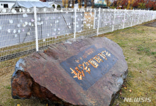 Фото из результатов поиска Naver 6