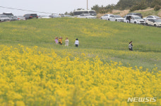제주 관광지 차량 행렬