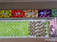 과일팜채소팜 | '오바마 햄버거' 매장에 등장한 스마트팜...직접 키워 채소공급 각광