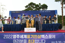 삼성인삼직매점 | 삼성 라이온즈파크에 영주세계풍기인삼엑스포 열기 가득