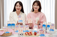 세븐일레븐제주연동마이빌점 | 세븐일레븐, 설향딸기 담은 '제주우유 딸기샌드위치' 출시