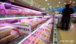 농우생고기도소매센타 | 닭고기 공급량 감소에 도소매가 급상승