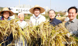법인두레마을김제전통 | 전주기접놀이보존회, 두레농장서 '전통 벼 베기' 재현