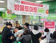 (주)에치와이 정읍하나로마트 본점 | 전북농협, 호남권 하나로마트서 '정읍 방울토마토 판매전' 개최