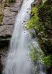 Foto aus Naver-Suchergebnissen 2