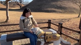 "다른 손님 안전 생각해야"…안내견 출입 막은 다이소 직원