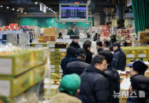 설 앞두고 바쁘게 돌아가는 가락시장 과일 경매장