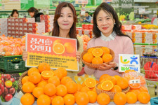 오렌지마트(주)아프로유통 | 농협유통 하나로마트, 2026년 청견 오렌지 올해 첫 판매