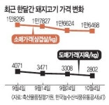 청정농축산도매센타 | 돼지고기 도매가 폭락… 농가 깊은 시름