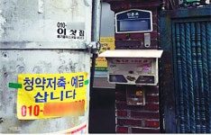 부동산카페 운영자가 분양권 불법거래 알선