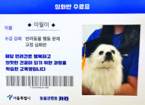 행동 교육 이수한 견공들의 다짐 ‘매너 갖추겠습니다’