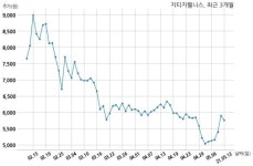 주식회사 지티지한국의료관광 | 지티지웰니스 단기차입금 50억원 증가