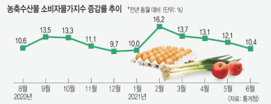 (주)금파농수산 | 집었다 놓은 ‘금파’… 농축수산물 물가 30년 來 최고