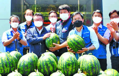 (주)비앤에스푸드계절소반 | 현대모비스, 250개 우수 협력사에 계절 과일 전달