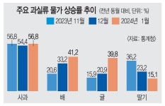 과일밥상상하점 | 허리 휘는 밥상 물가… 과일·채소 14% 껑충