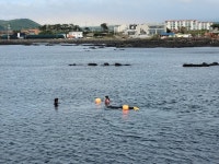 ‘발등의 불’ 해녀 감소에…제주도 ‘당근책’ 늘리고 경북도 ‘해남 양성’