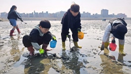 오이도 어촌휴양마을서 조개캐기 체험…K-갯벌 매력에 ‘풍덩’