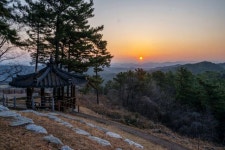 진주원협중매인 | 봄의 숲속 경남 진주… 화사한 봄 그윽한 매화향 사이로 걸어요