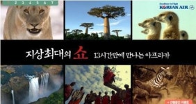 비아이이항공번역 | 대한항공, 케냐인은 미개해? 번역 실수로 곤혹
