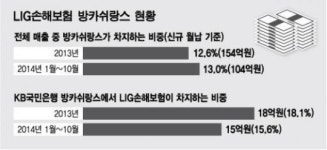 (주)KB손보CNS | "늦더라도 제대로" KB, LIG손보 인수 총력전