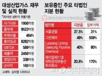 영해대성가스 | 대성산업가스 예비입찰에 SK 등 국내외 후보 참여
