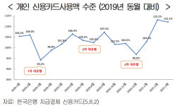 소비심리 둔화 속 '필수재' 소비 회복 신호
