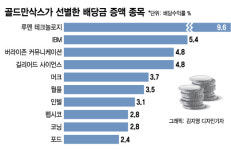 "고 인플레 땐 배당주가 유망"…골드만삭스 추천 종목은?