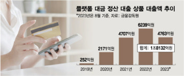 "너무 길다" e커머스 대금정산 또 도마에